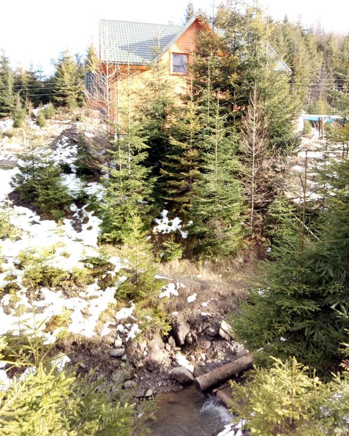 Wooddream Hotel โวโลเว็ตส์ ภายนอก รูปภาพ